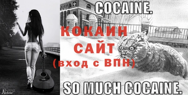 гидропоника Дмитриев