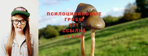 прущие крисы Дмитров