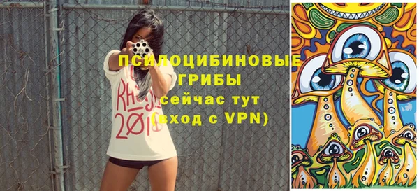 экстази Гусь-Хрустальный