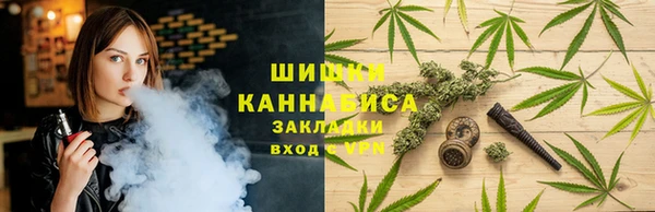 экстази Гусь-Хрустальный
