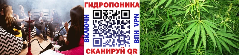 МАРИХУАНА план  как найти наркотики  Демидов 